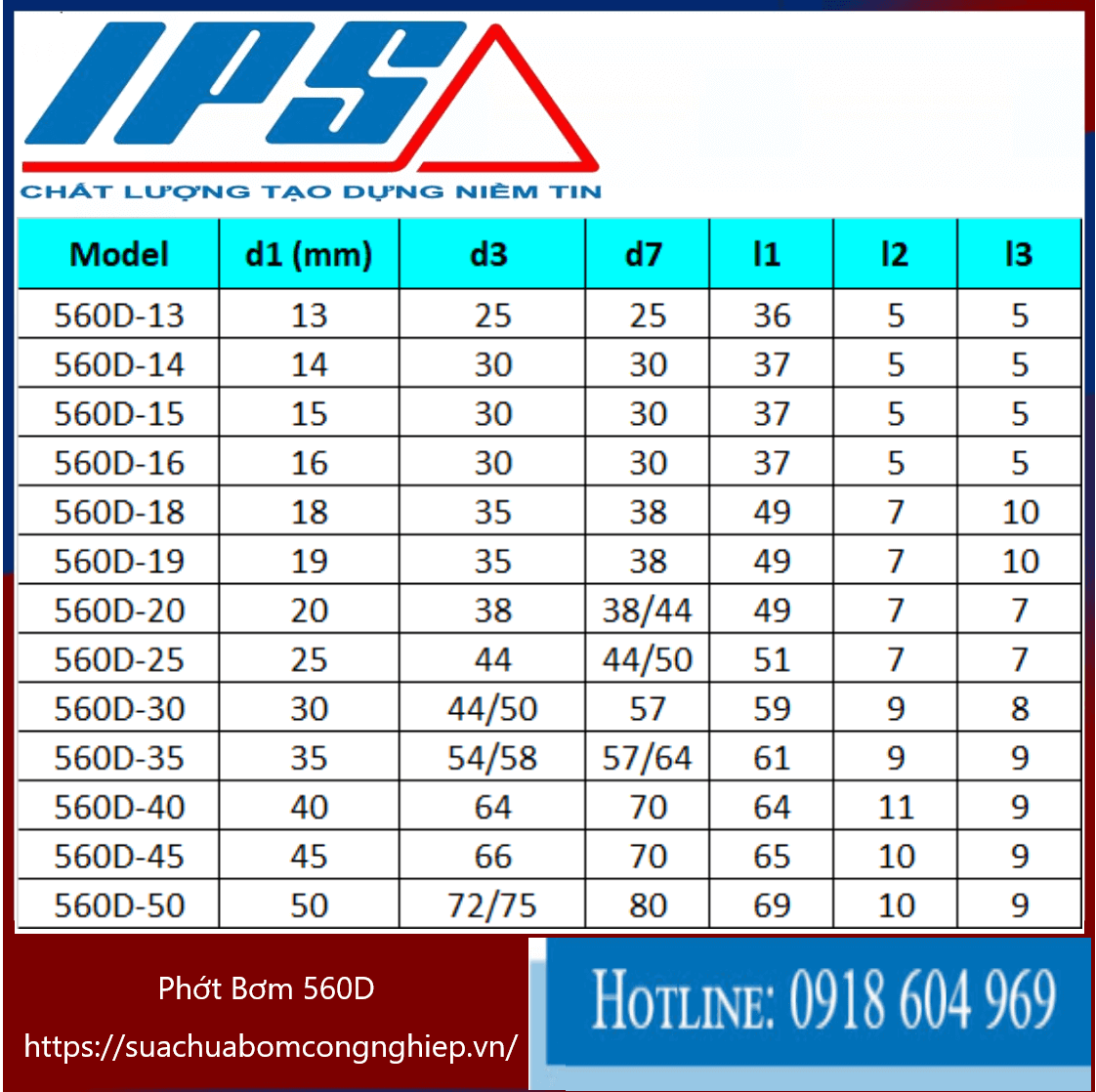 /Phớt Bơm 560D -13